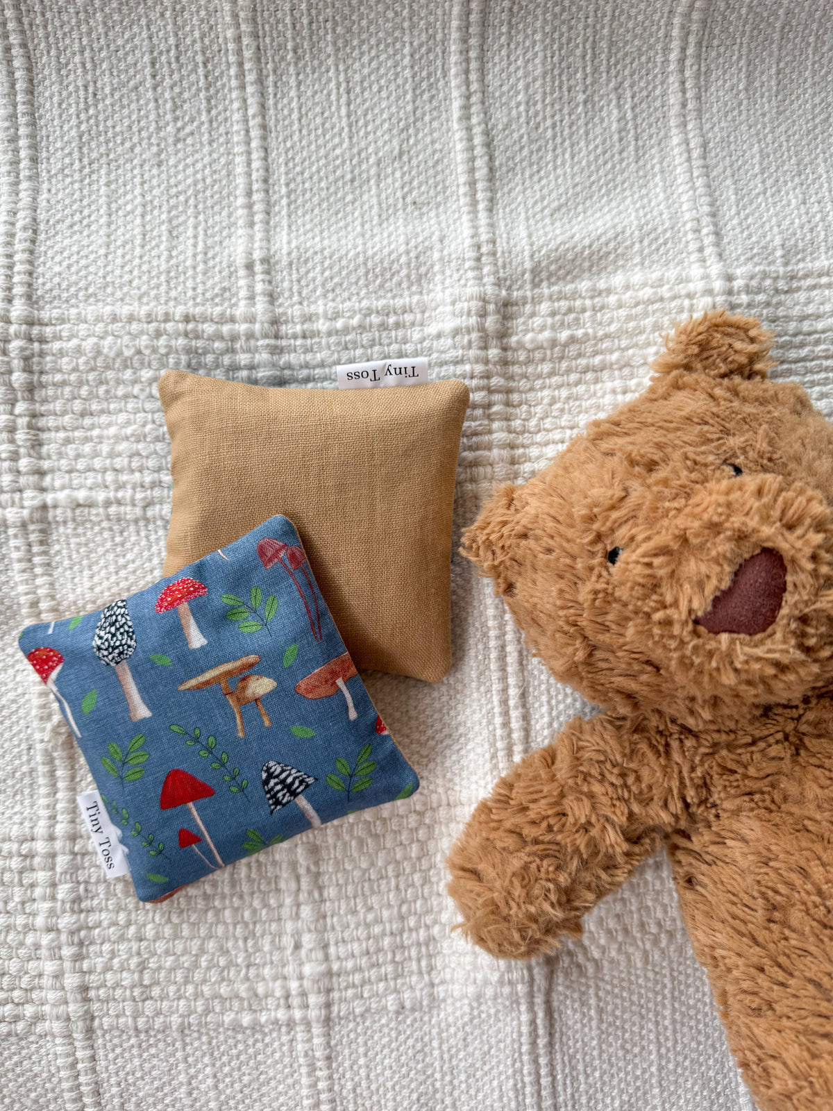 Picnics and Teddies