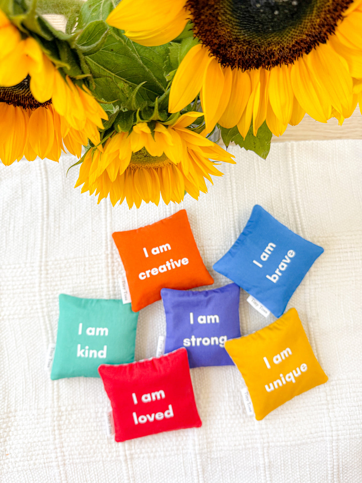 Tiny Affirmations set of 6 handmade rainbow gingham affirmation sandbags by Tiny Toss