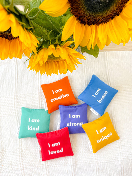 Tiny Affirmations set of 6 handmade rainbow gingham affirmation sandbags by Tiny Toss