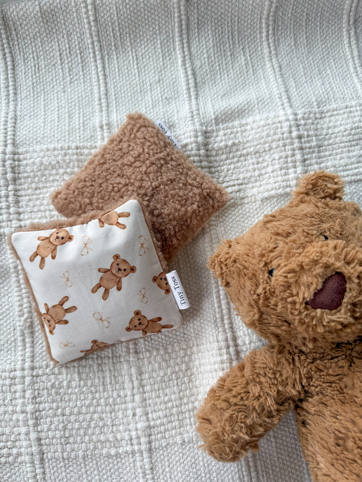 Picnics and Teddies