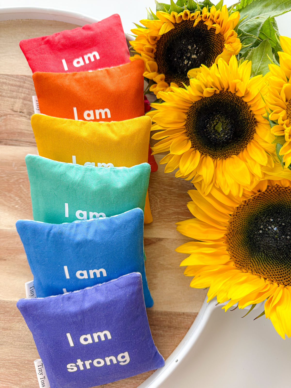 Tiny Affirmations set of 6 handmade rainbow gingham affirmation sandbags by Tiny Toss