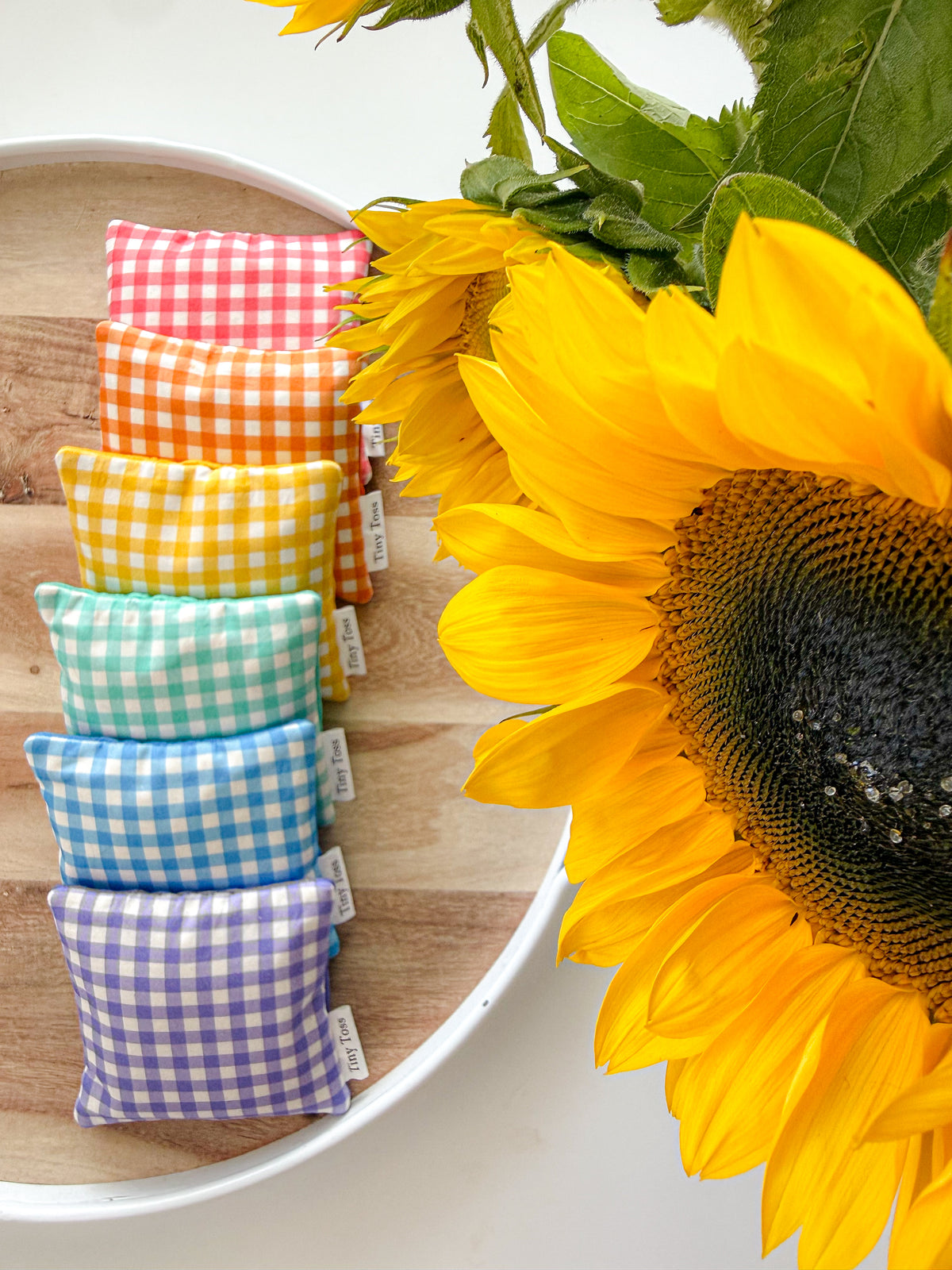 Tiny Affirmations set of 6 handmade rainbow gingham affirmation sandbags by Tiny Toss