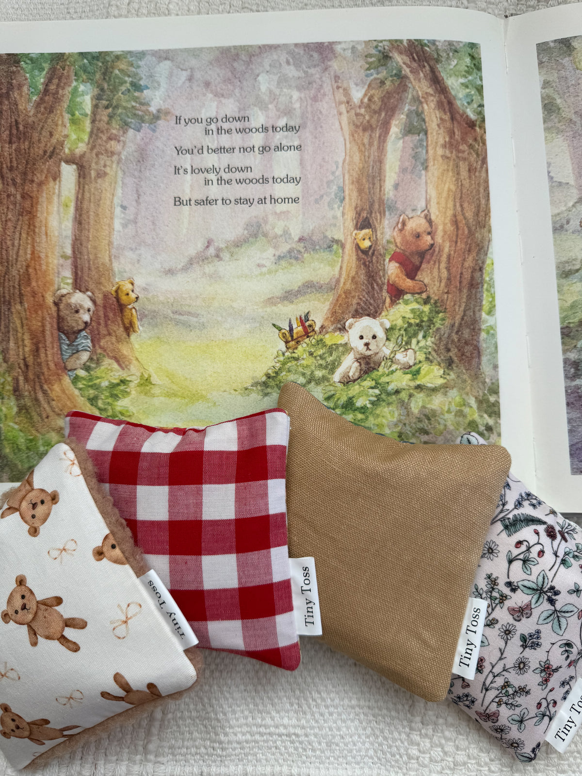 Picnics and Teddies