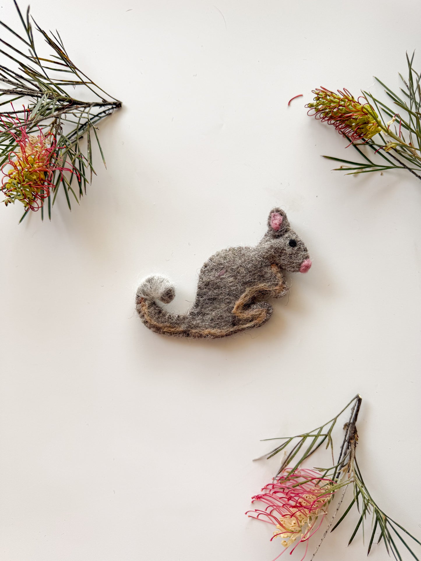 Create & Wonder Australian Animals Finger Puppets